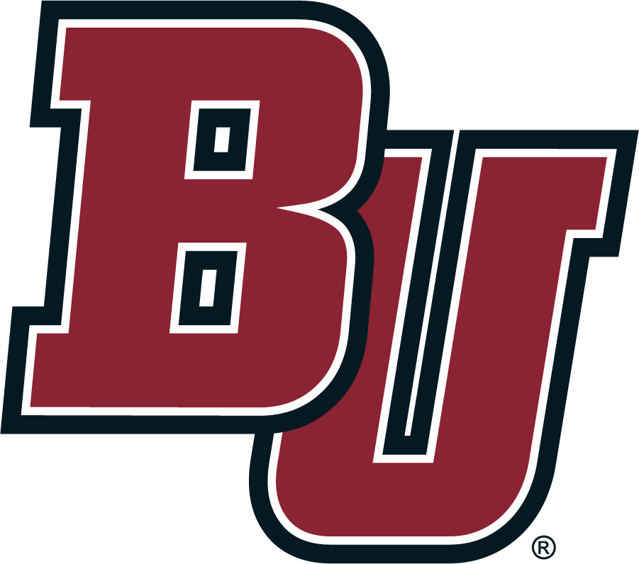 Bellarmine Knights 2004-2010 Secondary Logo v4 diy iron on heat transfer